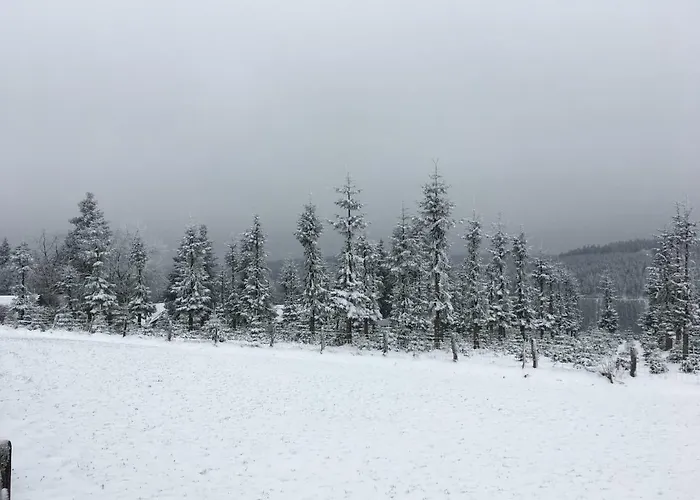 Gaestehaus Mira * وينتربرغ